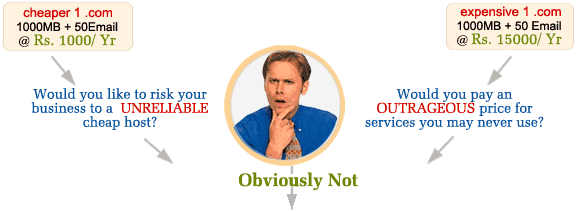 affordable business web hosting india