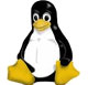 web hosting india web hosting india